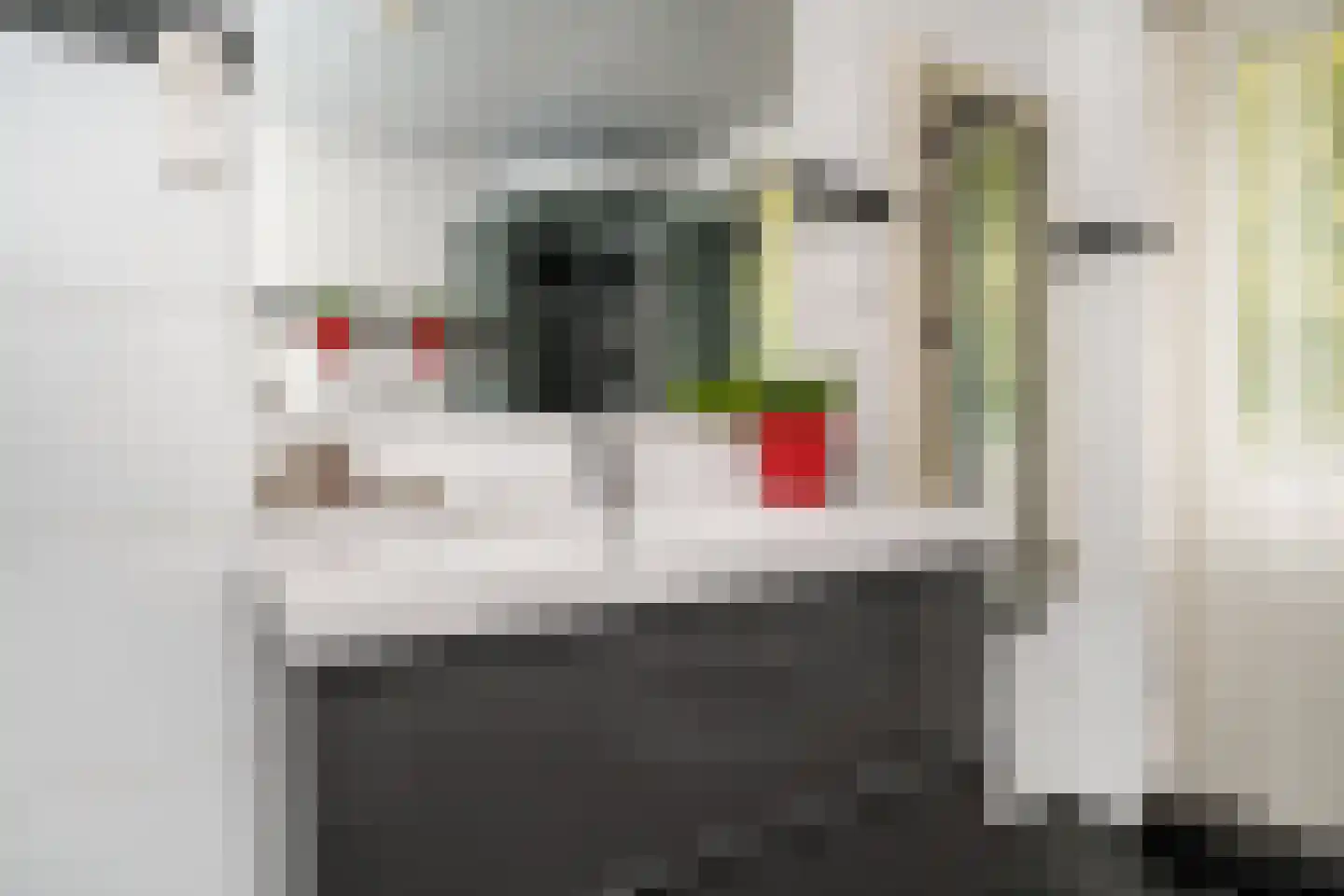 Cantecleerpad 12 Rotterdam thumbnail 21