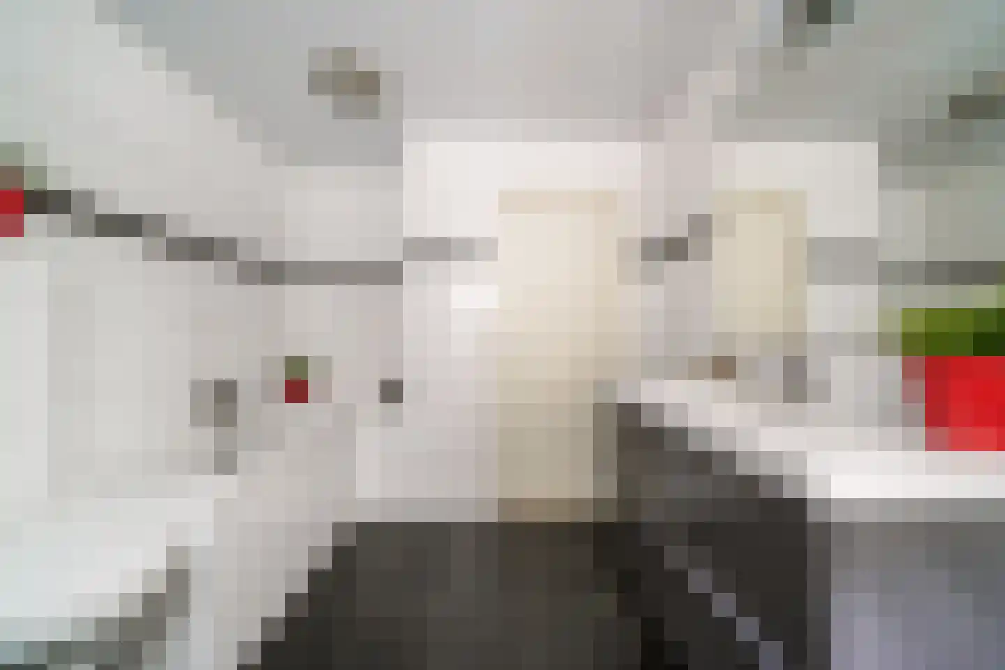 Cantecleerpad 12 Rotterdam thumbnail 23