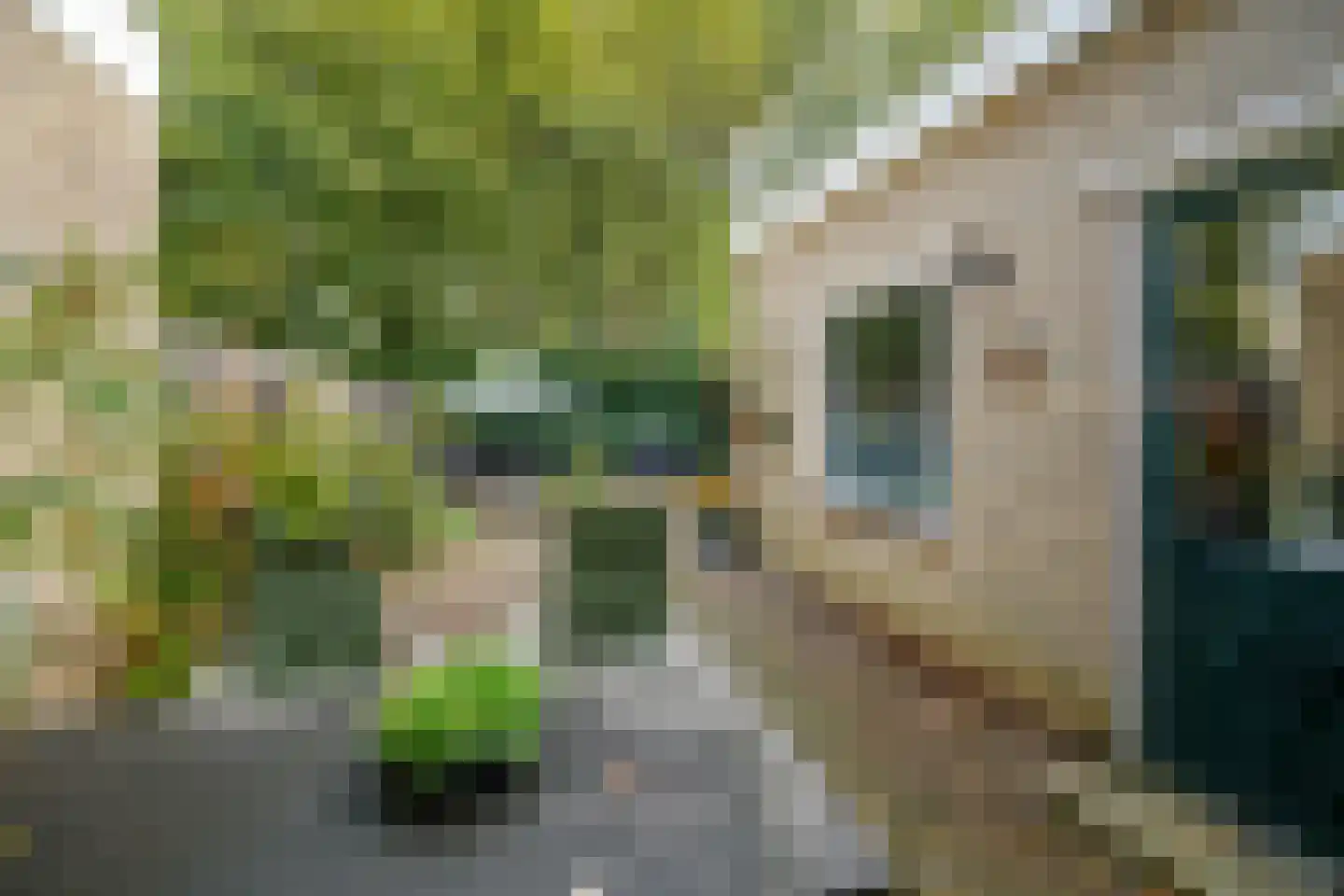 Cantecleerpad 12 Rotterdam thumbnail 29