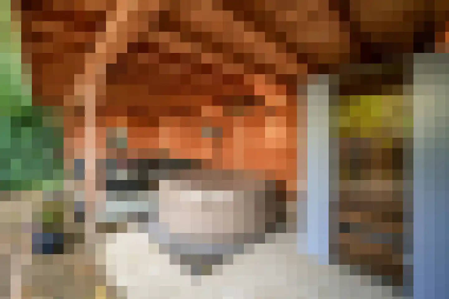 Cantecleerpad 12 Rotterdam thumbnail 33