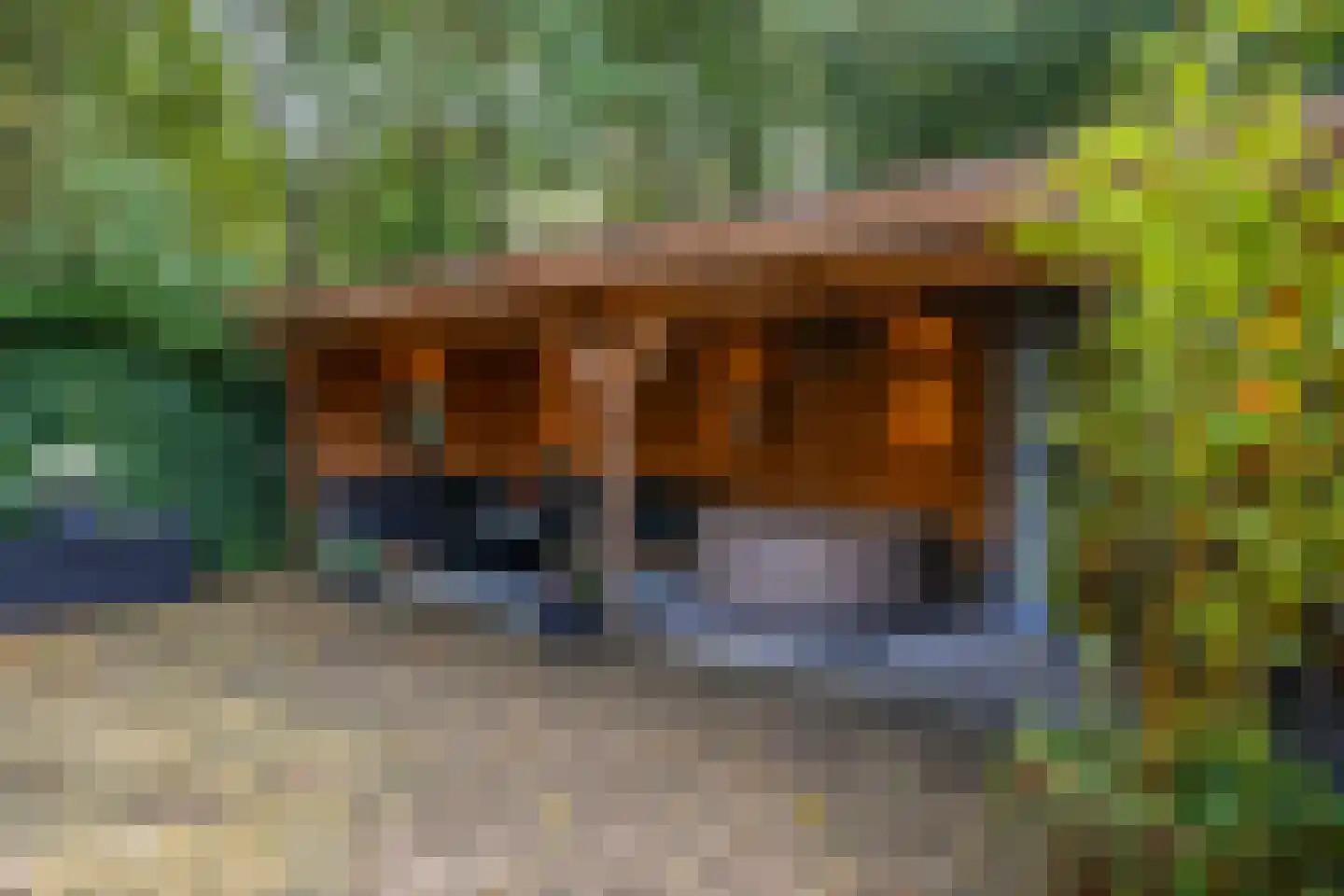 Cantecleerpad 12 Rotterdam thumbnail 34