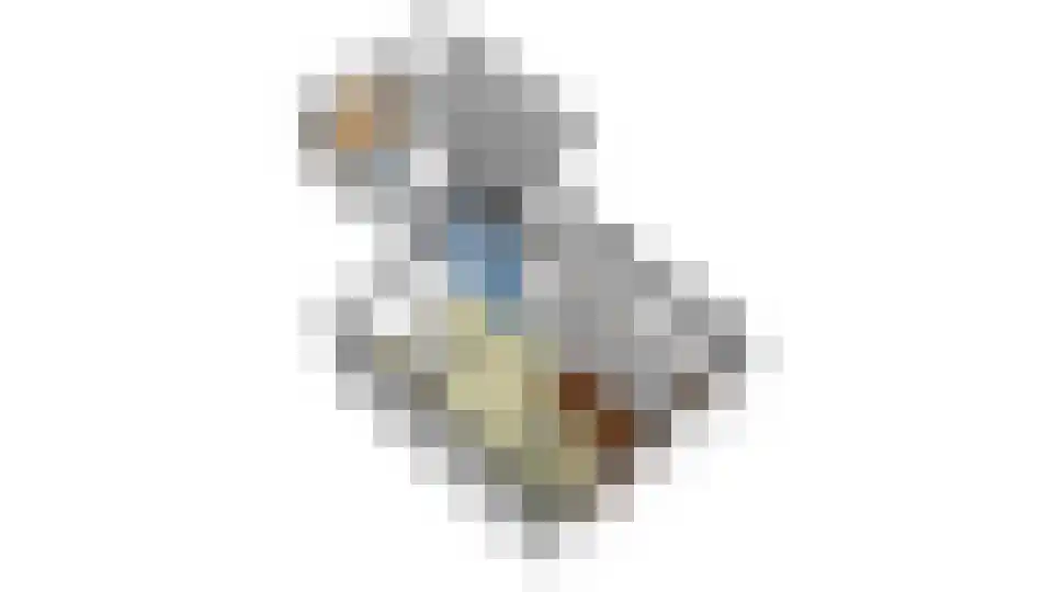 Cantecleerpad 12 Rotterdam thumbnail 40