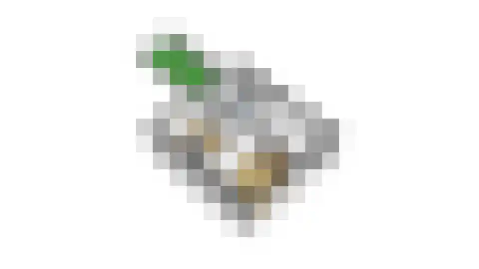 Cantecleerpad 12 Rotterdam thumbnail 42