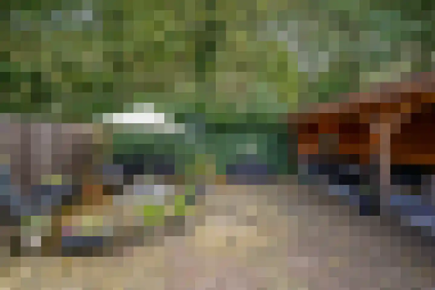 Cantecleerpad 12 Rotterdam thumbnail 6