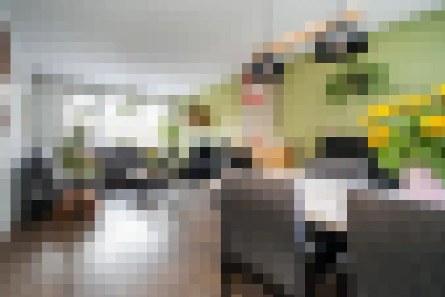 Cantecleerpad 12 Rotterdam thumbnail 8