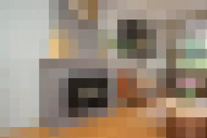 Cantecleerpad 2 Rotterdam thumbnail 10