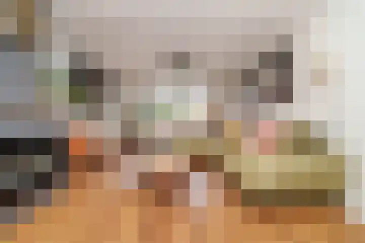 Cantecleerpad 2 Rotterdam thumbnail 11