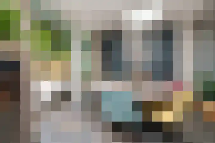 Cantecleerpad 2 Rotterdam thumbnail 14