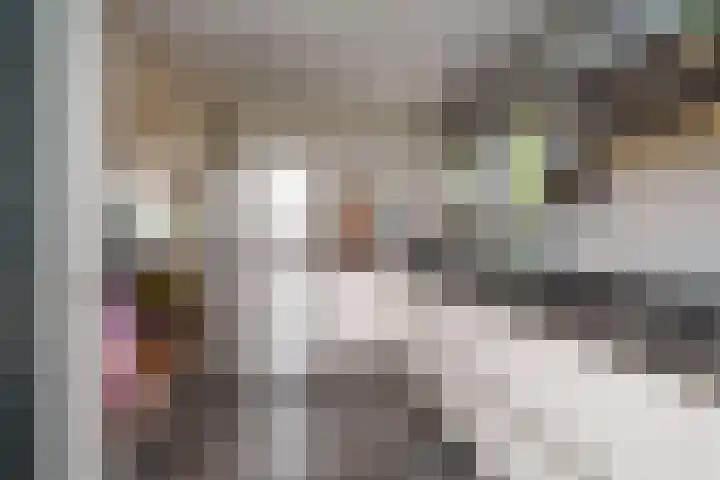Cantecleerpad 2 Rotterdam thumbnail 15