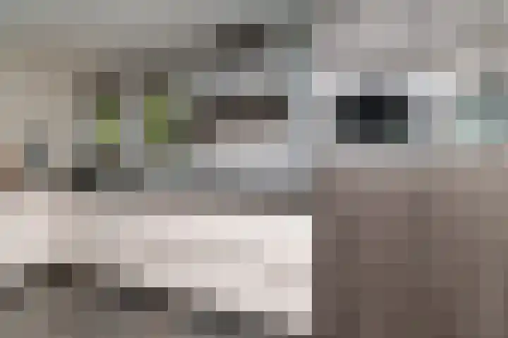Cantecleerpad 2 Rotterdam thumbnail 16