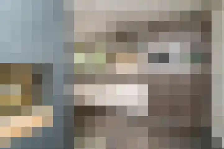 Cantecleerpad 2 Rotterdam thumbnail 17