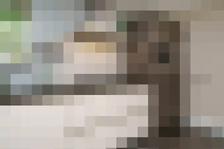 Cantecleerpad 2 Rotterdam thumbnail 18