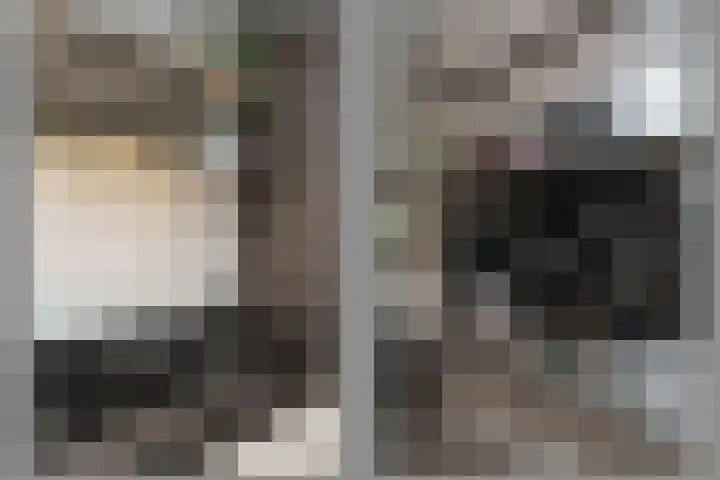 Cantecleerpad 2 Rotterdam thumbnail 19