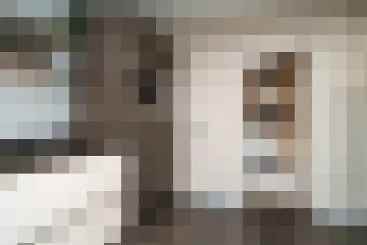 Cantecleerpad 2 Rotterdam thumbnail 20
