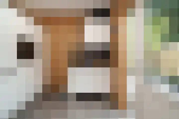 Cantecleerpad 2 Rotterdam thumbnail 22