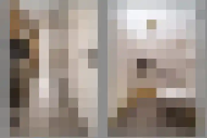 Cantecleerpad 2 Rotterdam thumbnail 23