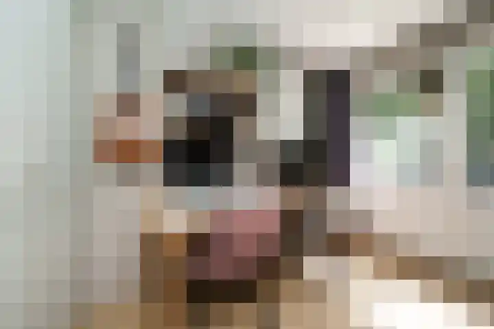 Cantecleerpad 2 Rotterdam thumbnail 26