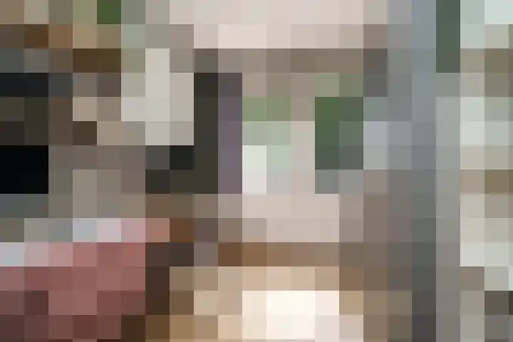 Cantecleerpad 2 Rotterdam thumbnail 27