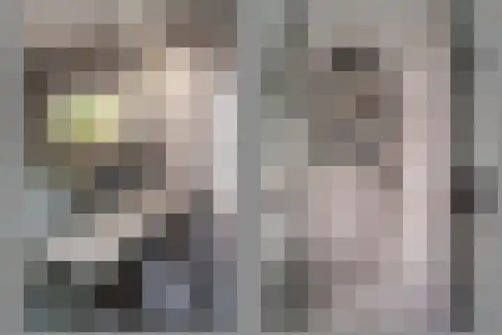 Cantecleerpad 2 Rotterdam thumbnail 30