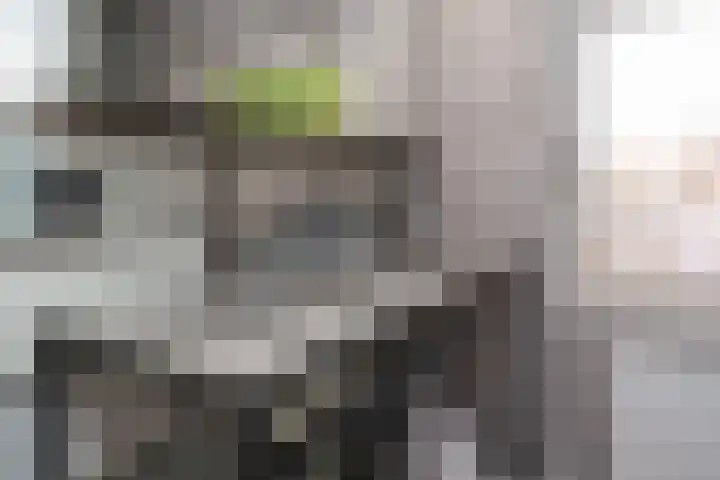 Cantecleerpad 2 Rotterdam thumbnail 31