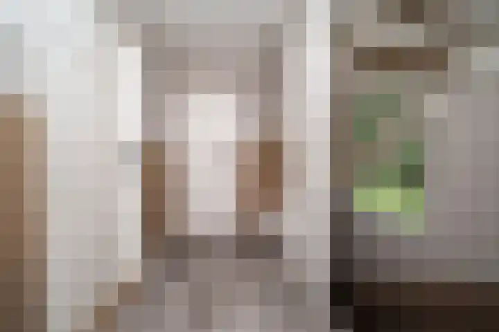 Cantecleerpad 2 Rotterdam thumbnail 32