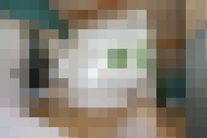 Cantecleerpad 2 Rotterdam thumbnail 33