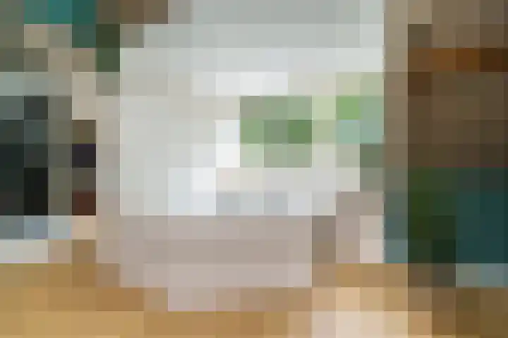 Cantecleerpad 2 Rotterdam thumbnail 35