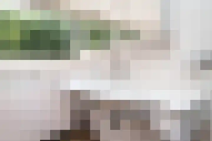Cantecleerpad 2 Rotterdam thumbnail 37