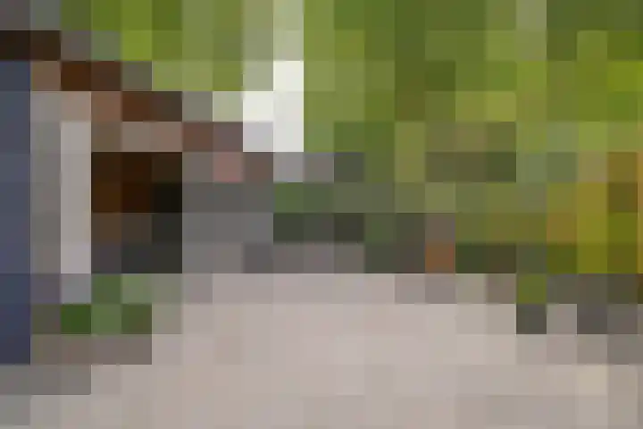Cantecleerpad 2 Rotterdam thumbnail 39
