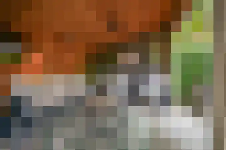 Cantecleerpad 2 Rotterdam thumbnail 41