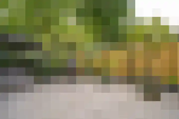 Cantecleerpad 2 Rotterdam thumbnail 42