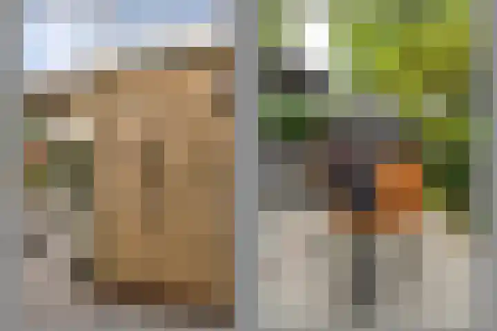 Cantecleerpad 2 Rotterdam thumbnail 43