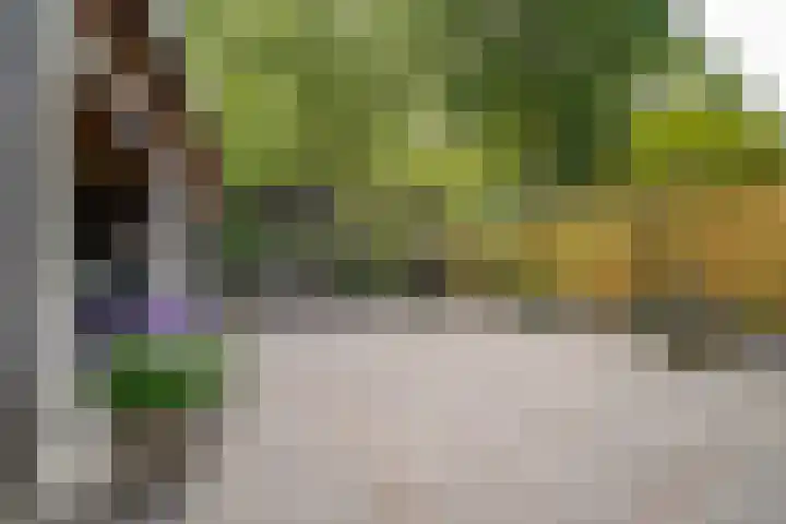 Cantecleerpad 2 Rotterdam thumbnail 44