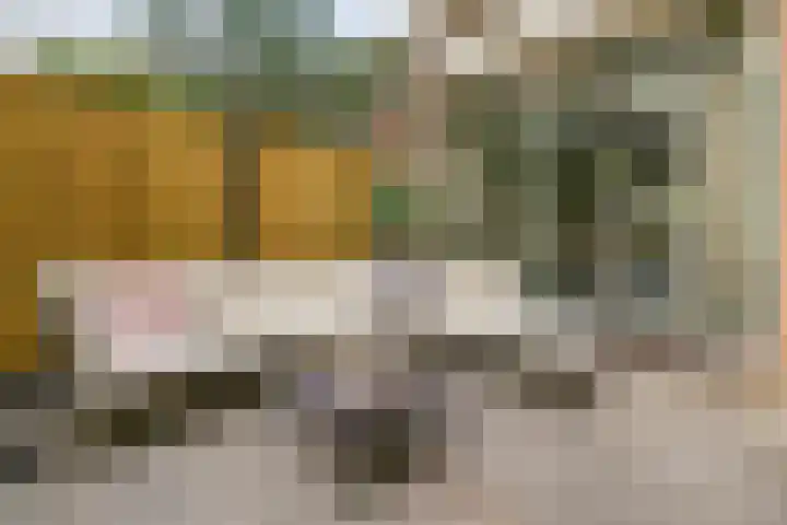 Cantecleerpad 2 Rotterdam thumbnail 46