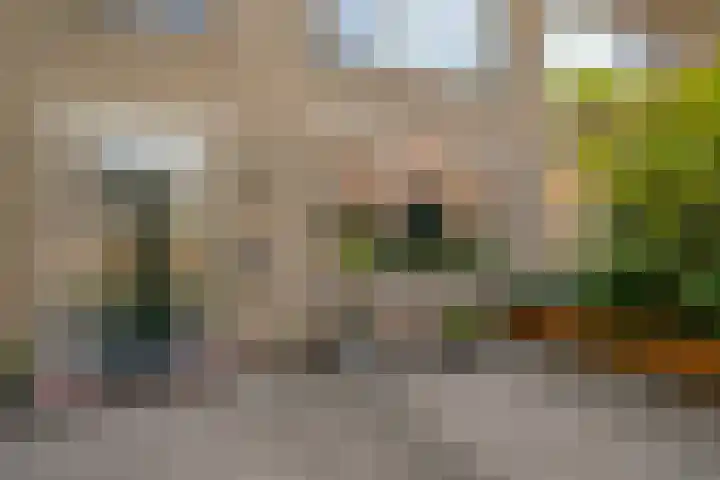Cantecleerpad 2 Rotterdam thumbnail 49