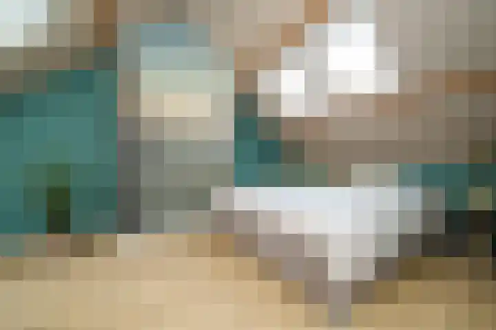 Cantecleerpad 2 Rotterdam thumbnail 5
