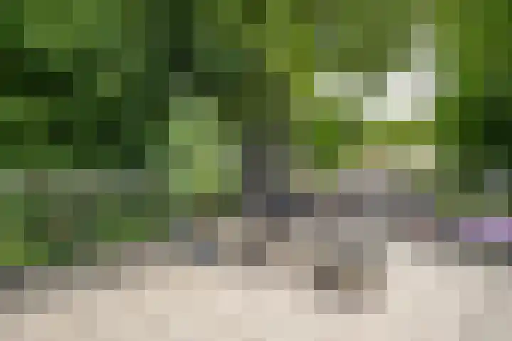Cantecleerpad 2 Rotterdam thumbnail 50