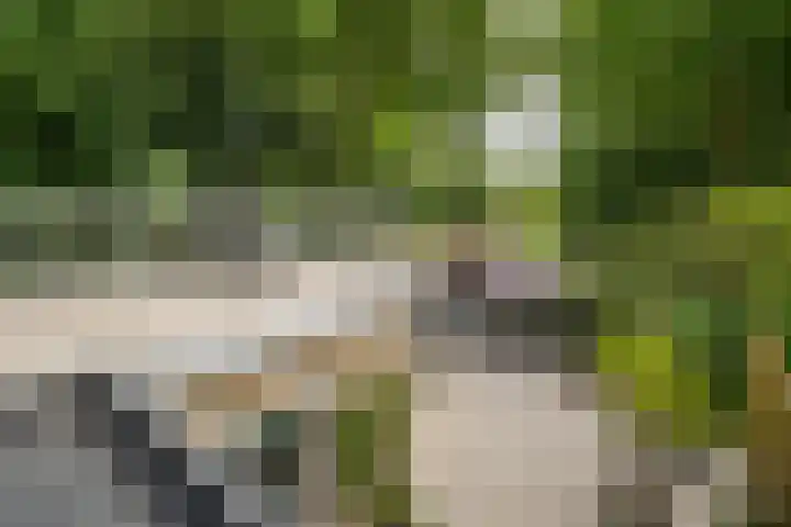 Cantecleerpad 2 Rotterdam thumbnail 51