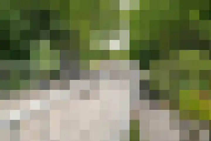 Cantecleerpad 2 Rotterdam thumbnail 52