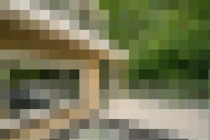 Cantecleerpad 2 Rotterdam thumbnail 53