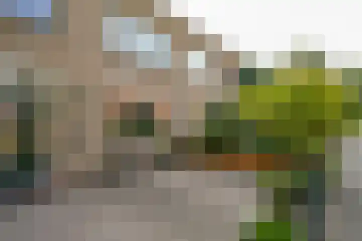 Cantecleerpad 2 Rotterdam thumbnail 54