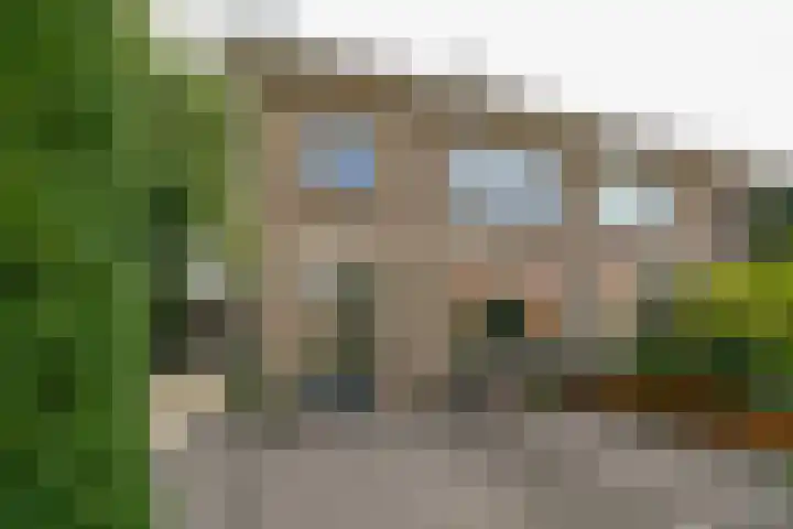 Cantecleerpad 2 Rotterdam thumbnail 55