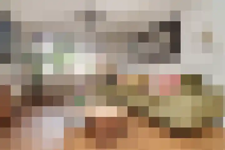 Cantecleerpad 2 Rotterdam thumbnail 8