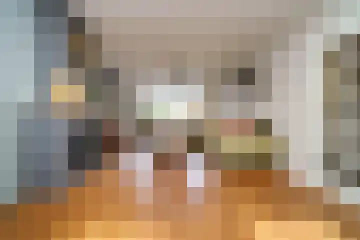 Cantecleerpad 2 Rotterdam thumbnail 9