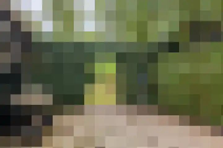 Canterlandseweg 37 Gytsjerk thumbnail 21