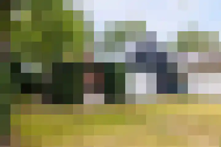 Canterlandseweg 37 Gytsjerk thumbnail 22