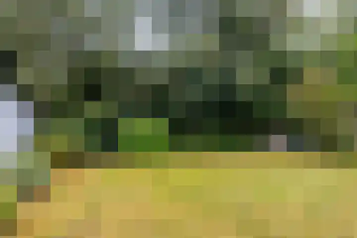 Canterlandseweg 37 Gytsjerk thumbnail 23
