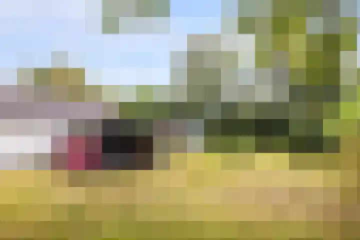 Canterlandseweg 37 Gytsjerk thumbnail 25