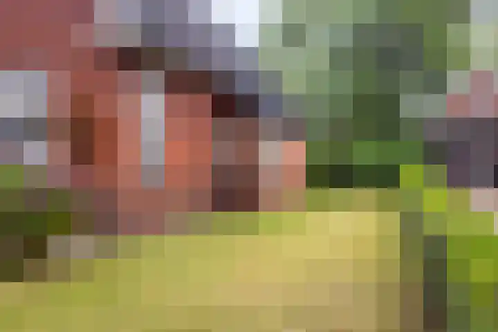 Canterlandseweg 37 Gytsjerk thumbnail 37