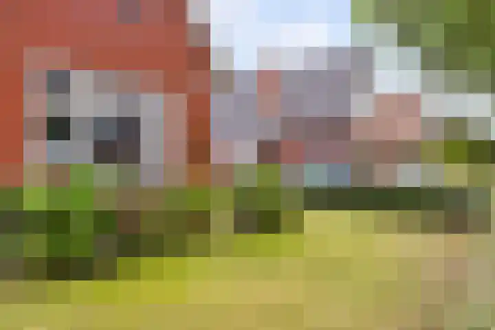 Canterlandseweg 37 Gytsjerk thumbnail 38